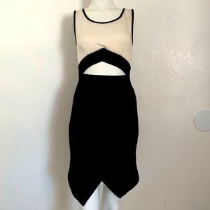 True Light Black and White Dress Size Small
